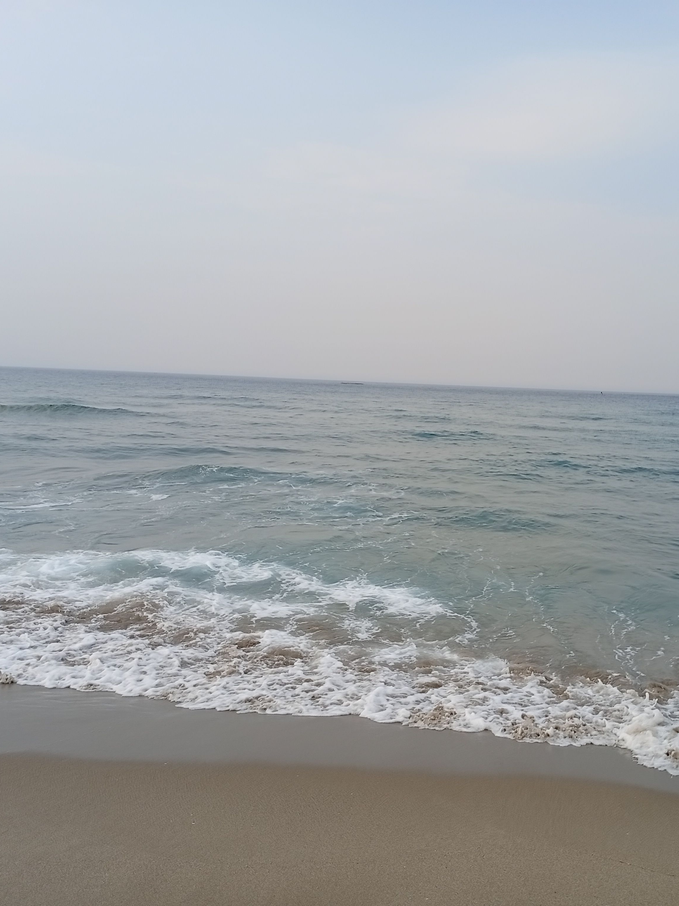 주령고전! 대표 이미지