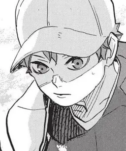 Profile image of Hinata Shoyo