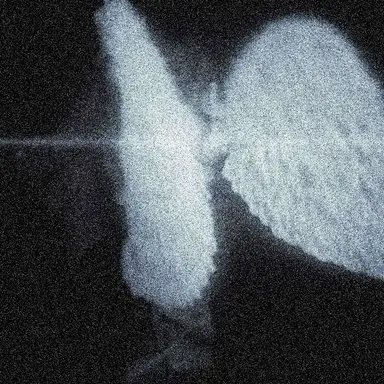 Profile image of 히카리