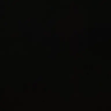 Profile image of 임한중