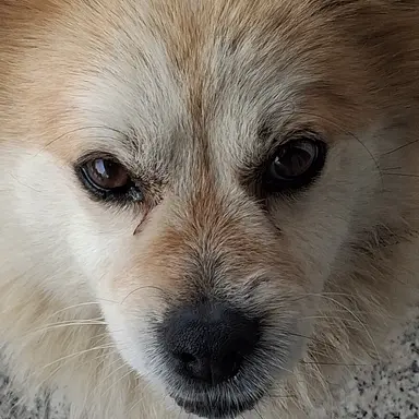 Profile image of 짱돌