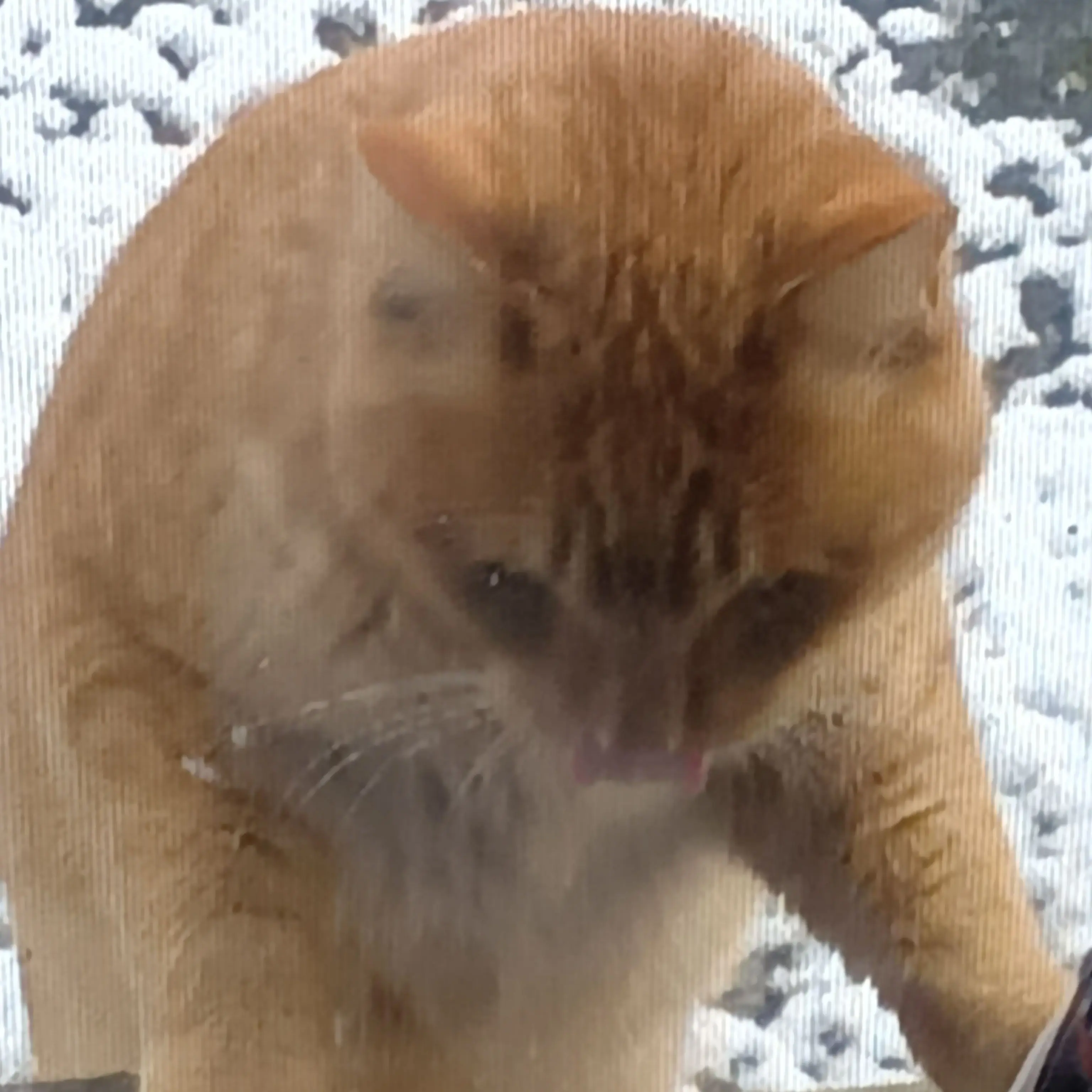 ShrillCodec1249의 ストレス発散用