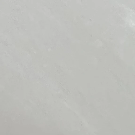 리사