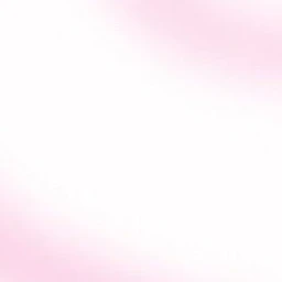 노애미크루