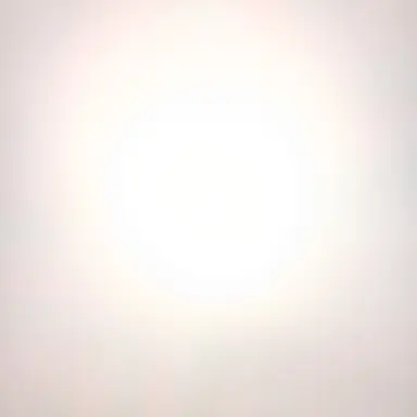 Profile image of 노스페라투