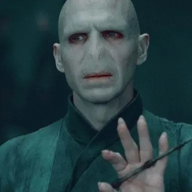 Profile image of Voldemort