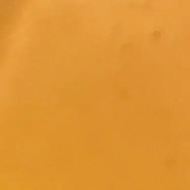 Profile image of 柏木悠