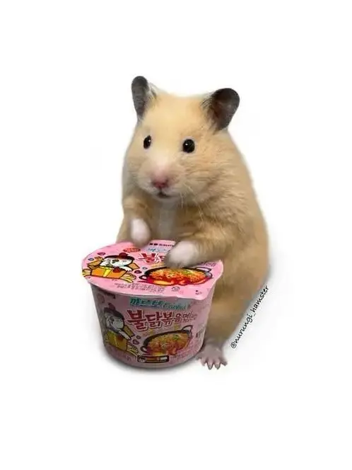 _3y.aml의 転校生の{{user}}に一目惚れ!?
