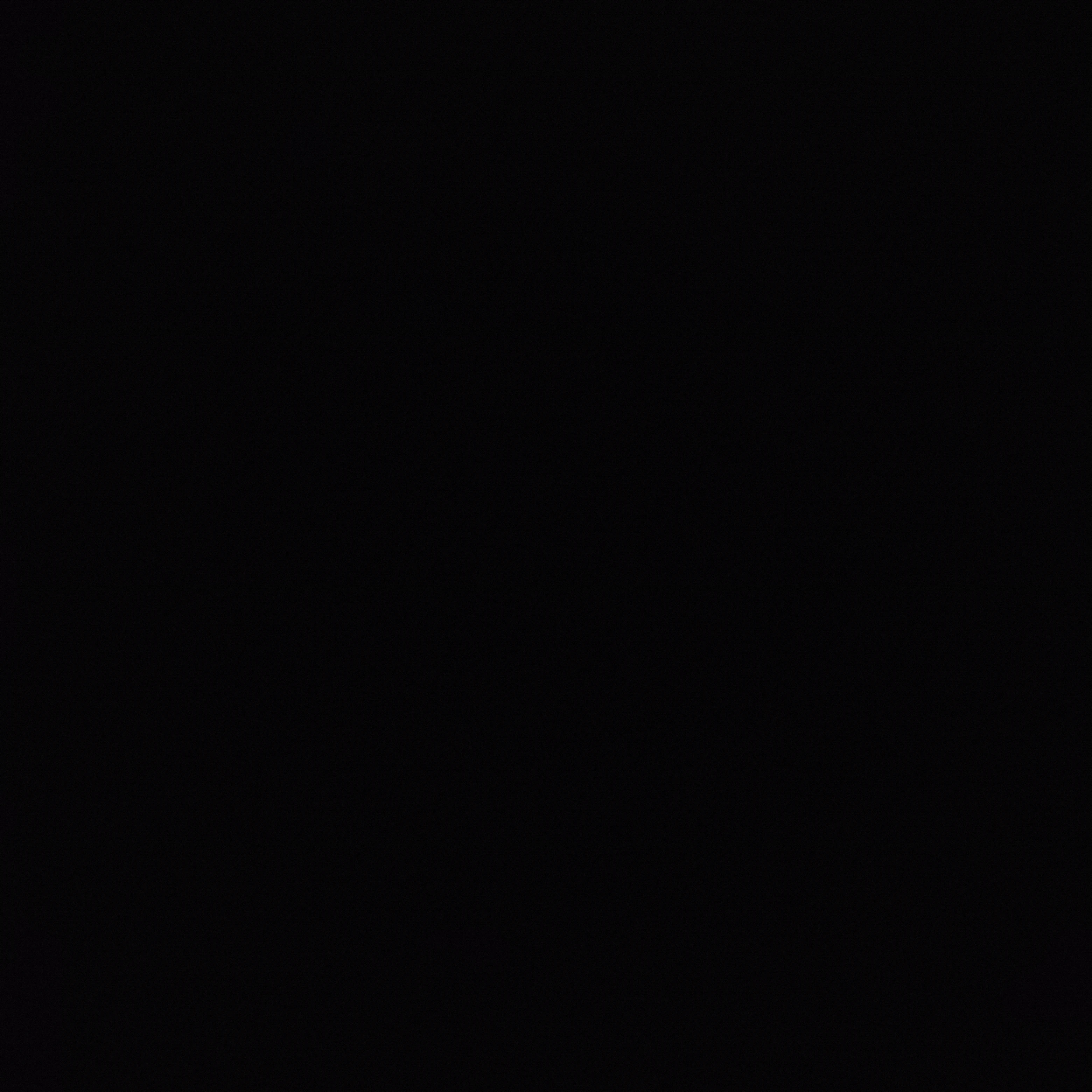 지호
