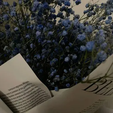 Profile image of 파이브