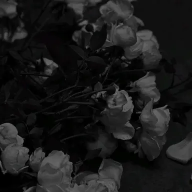 Profile image of 우융