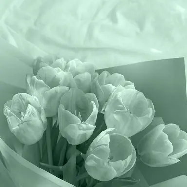 Profile image of 예엥