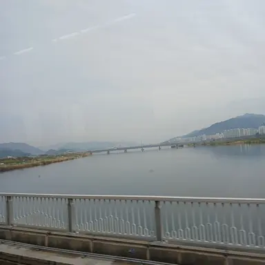 Profile image of 멜로우