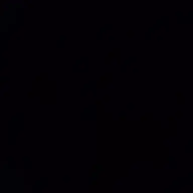 Profile image of パティ