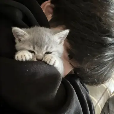 Profile image of 이한빈
