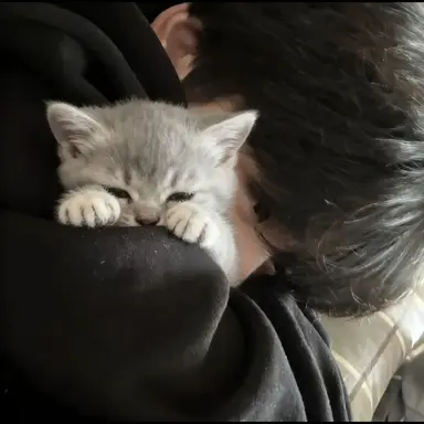 Profile image of 이한빈