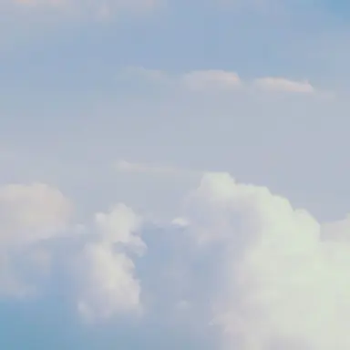 Profile image of Wonpil