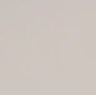 Profile image of 嶋津友稀