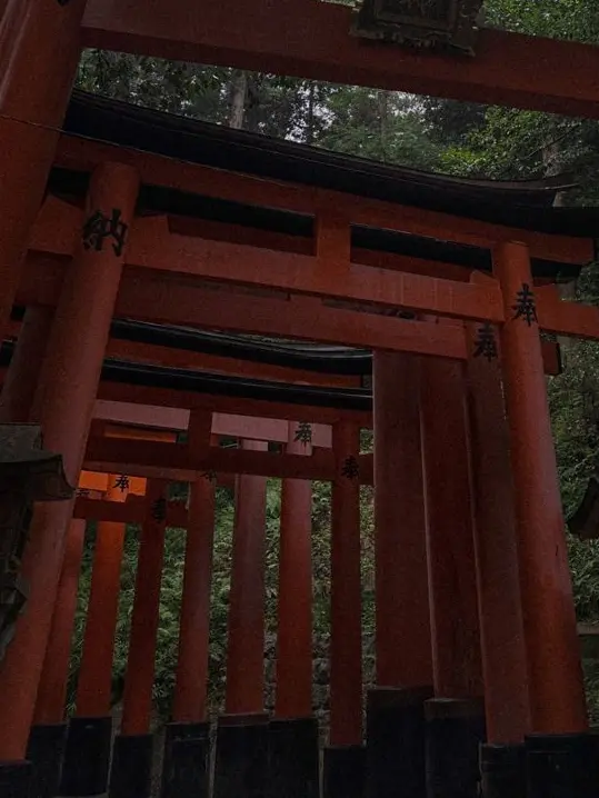 amane_omo의 神隠し