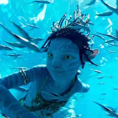 Profile image of 투크티리