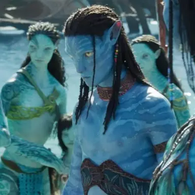 Profile image of 네테이얌