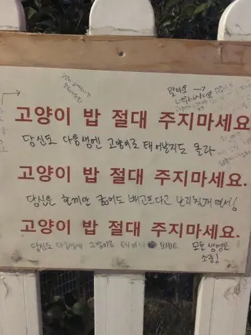 AmusedCork5738의 왜 멋대로 이렇게 예쁘시지?