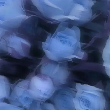 Profile image of 堂本剛
