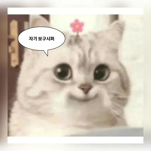stalen.von의 노래 추천봇