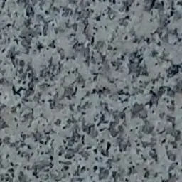 Profile image of 이향