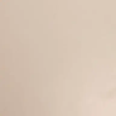 Profile image of 이도