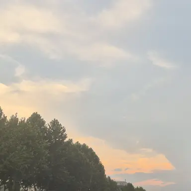 Profile image of 잭