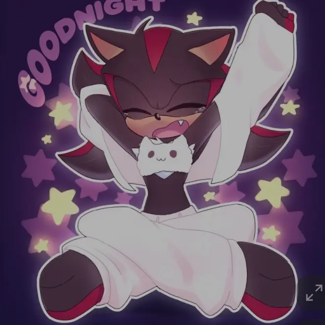 hes131112의 섀도우와의 동거