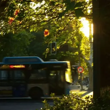 Profile image of 박잠뜰