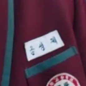 Profile image of 금성제