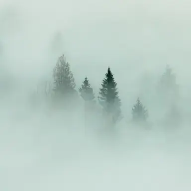 Profile image of 무이치로