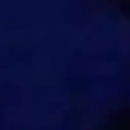 rmfotjanjdjwjfksrjswl의 네시