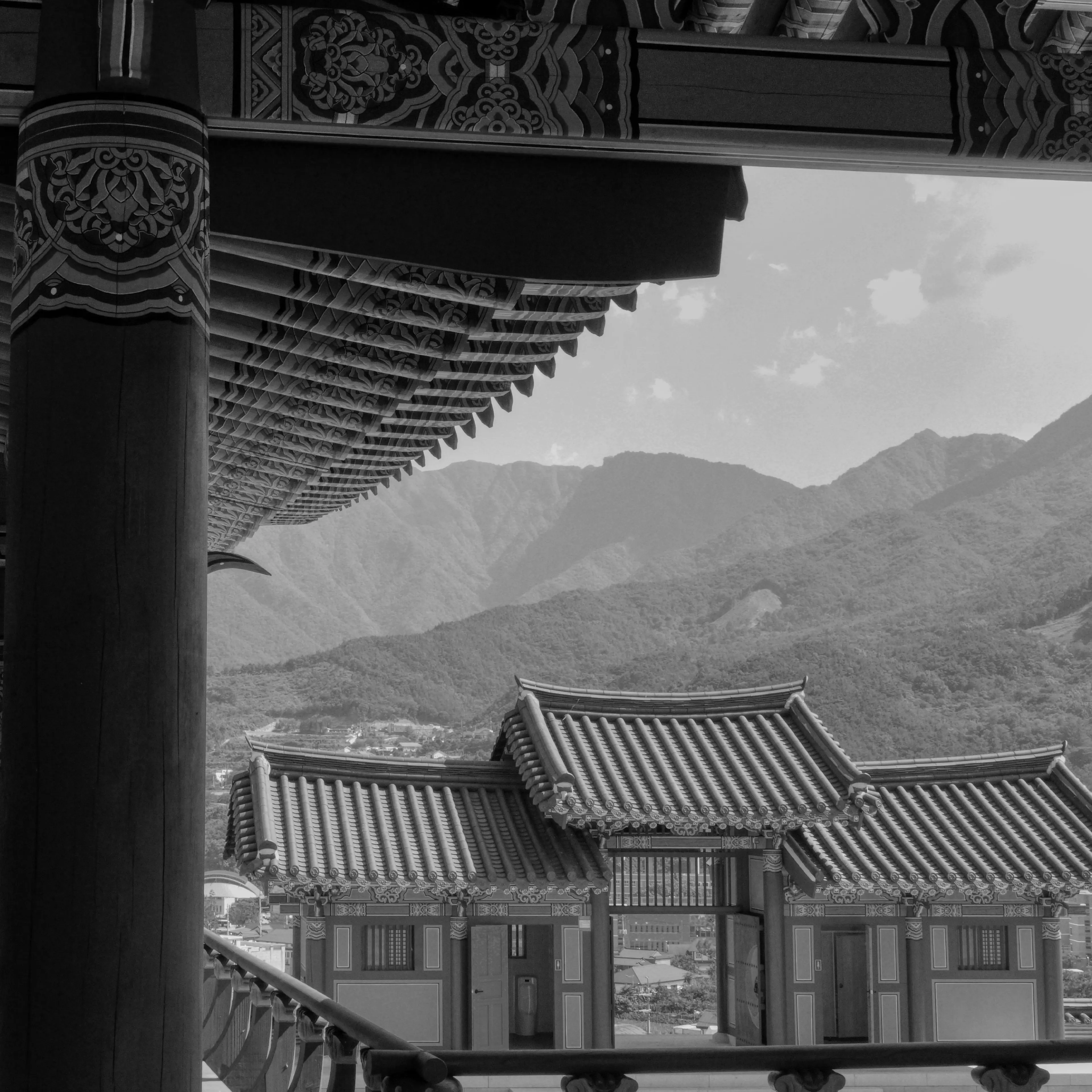 DDcu의 산청