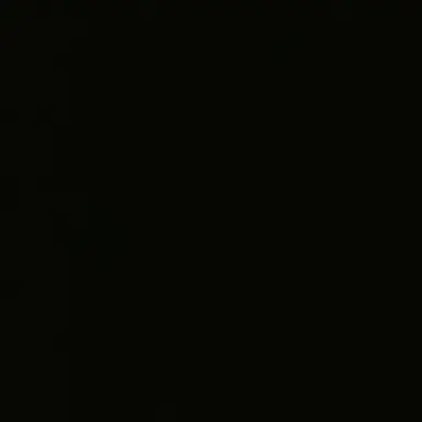 Profile image of T