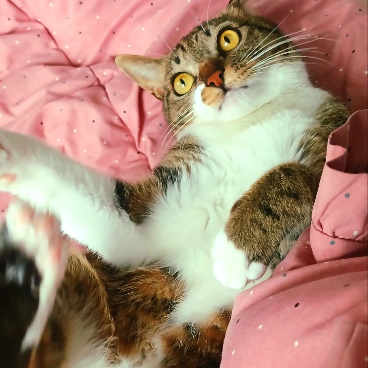 범천
