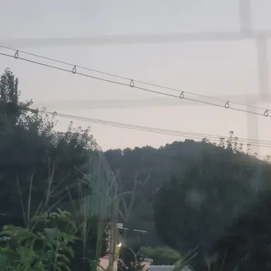 Profile image of 고고프랜즈 생축