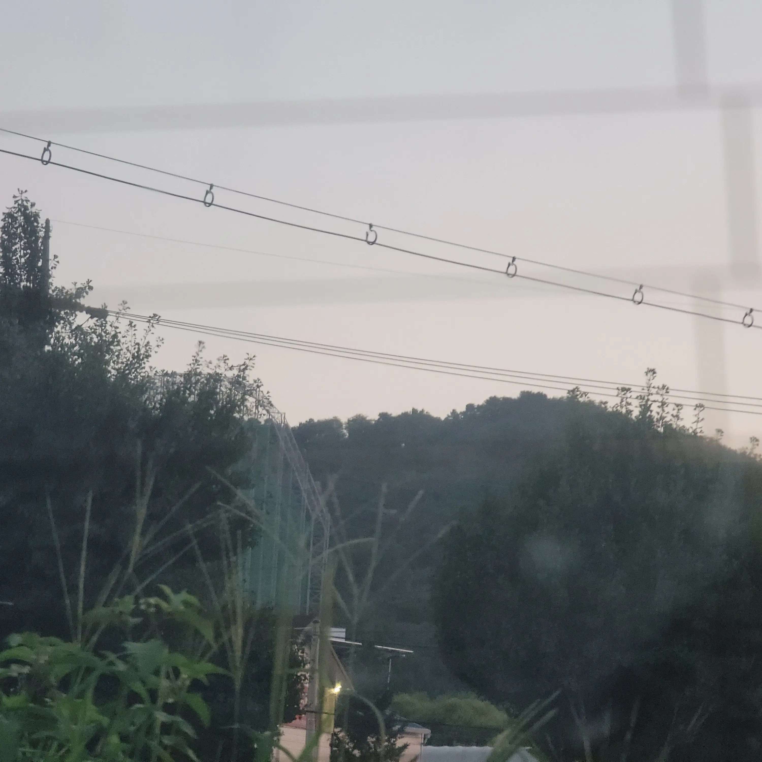 StupidWell0912의 고고프렌즈 생축