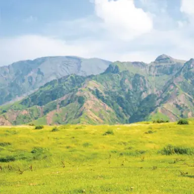 Profile image of 最強の貴方の生活