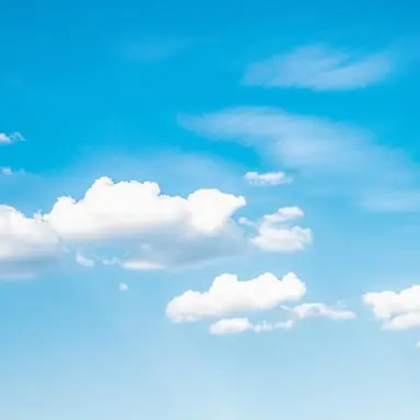 Profile image of 수이웃