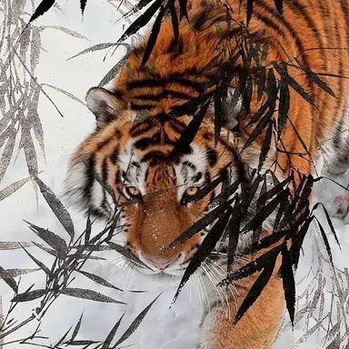 Profile image of Lukan