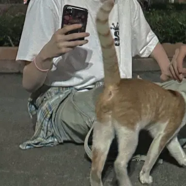 Profile image of 후지나가 사쿠야