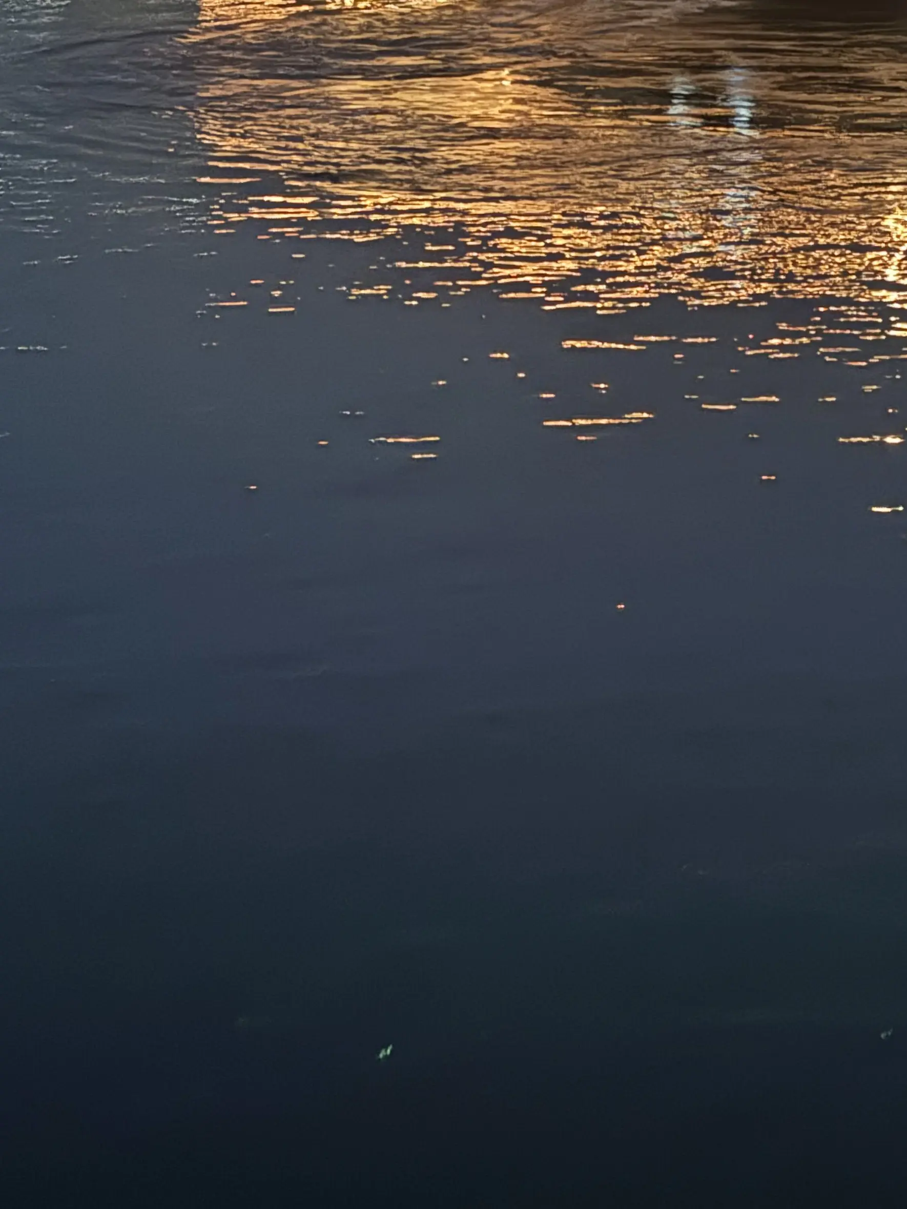 ChewyLiver6035의 ヒーローな先輩達