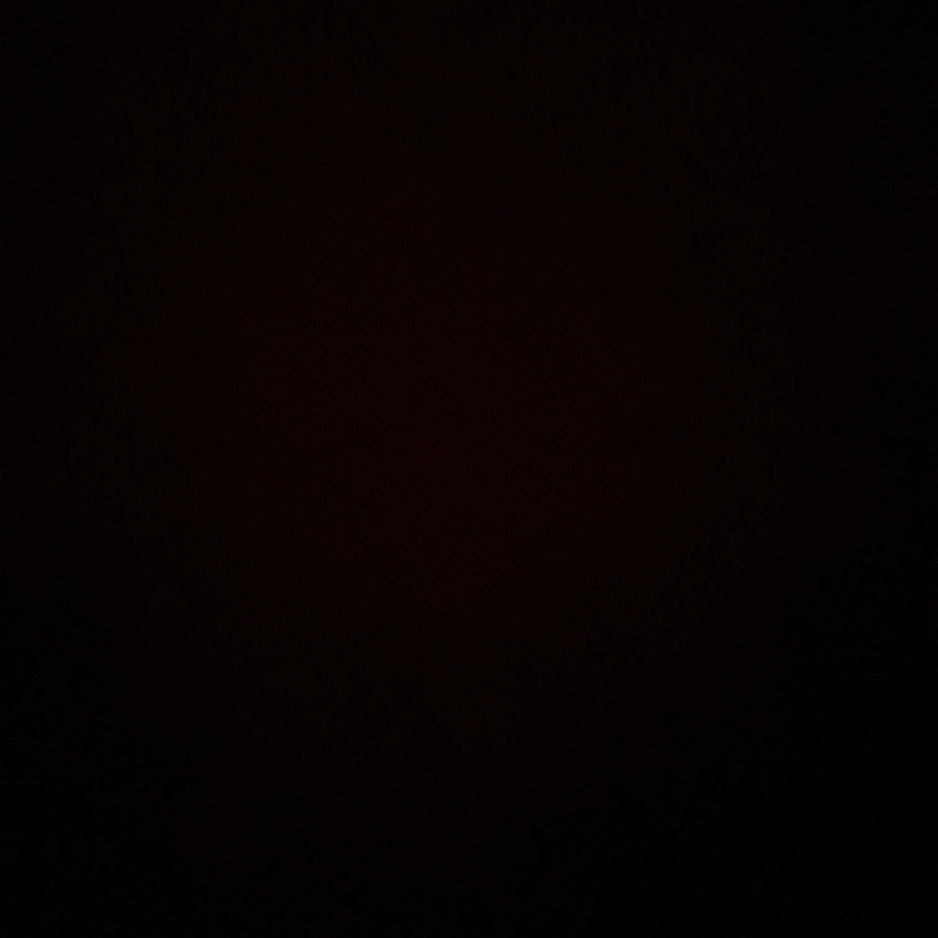 LightBison7442의 꽥탐+여우 (오해)