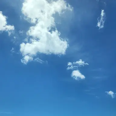 Profile image of 감제이