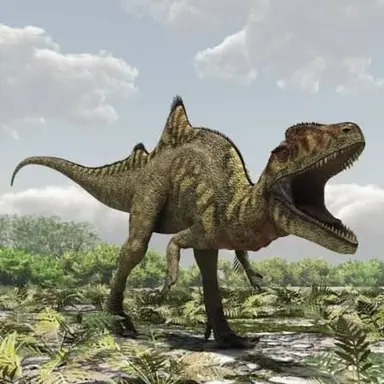 Profile image of コルトス