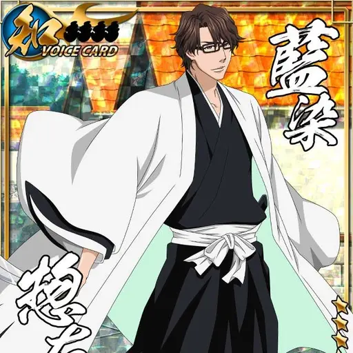 BriskQuilt4309의 藍染惣右介